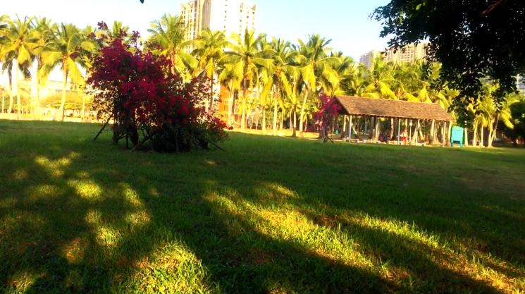 滨海公园海口全景,滨海公园海口海滩