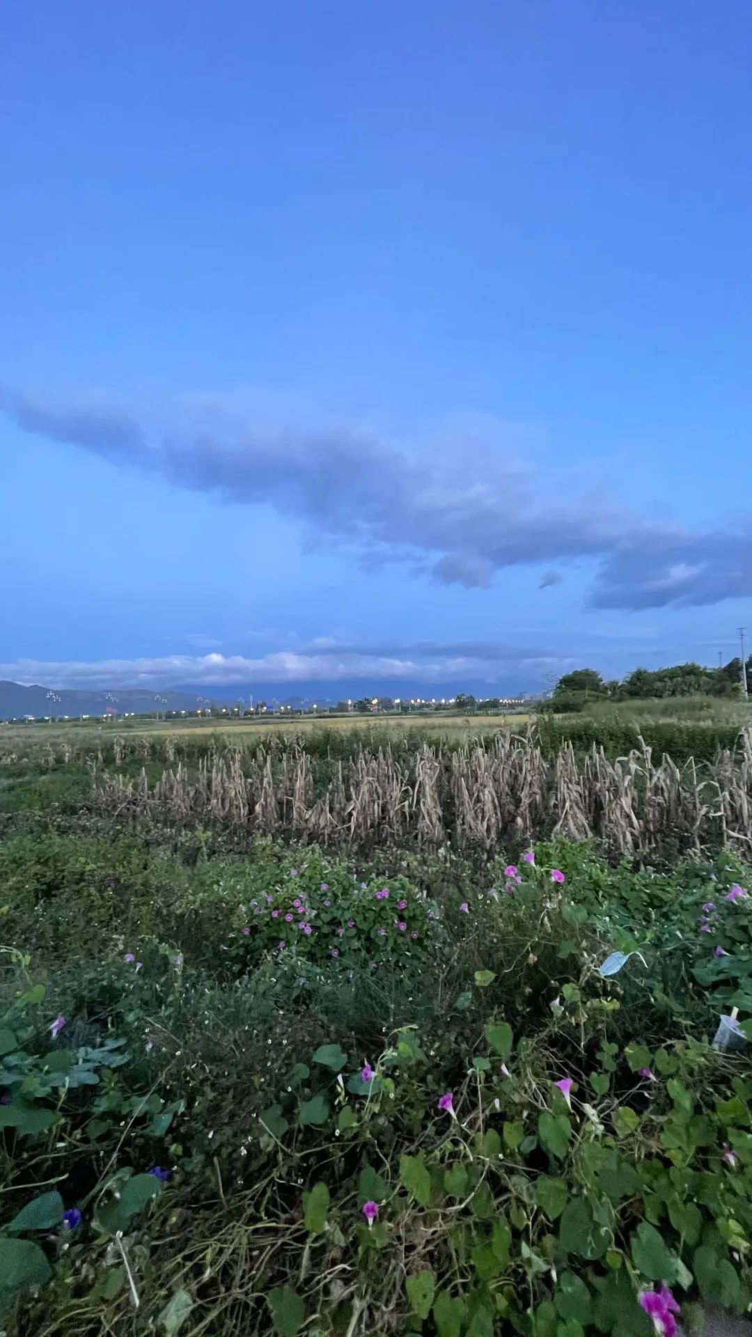 去西昌一定要吃的美食,去西昌推荐吃什么