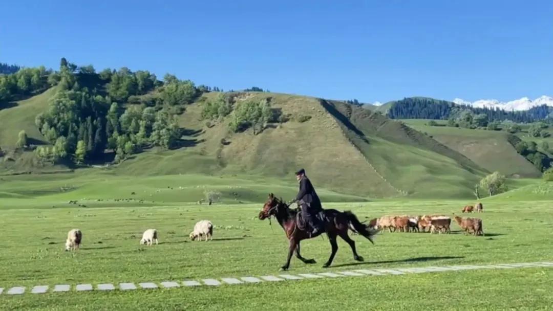 笔画简单寓意好的女孩名字,12笔画女孩名用的字