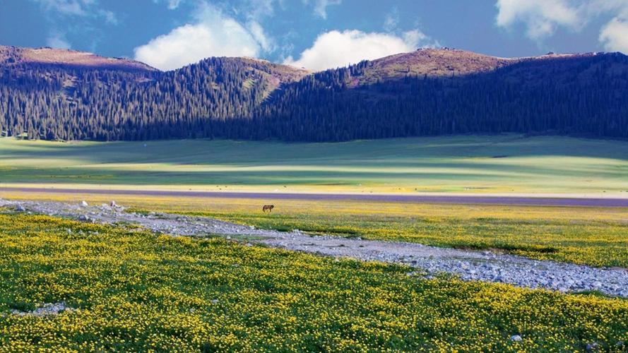 中短线交易战法,短线一定要学会5个技术战法