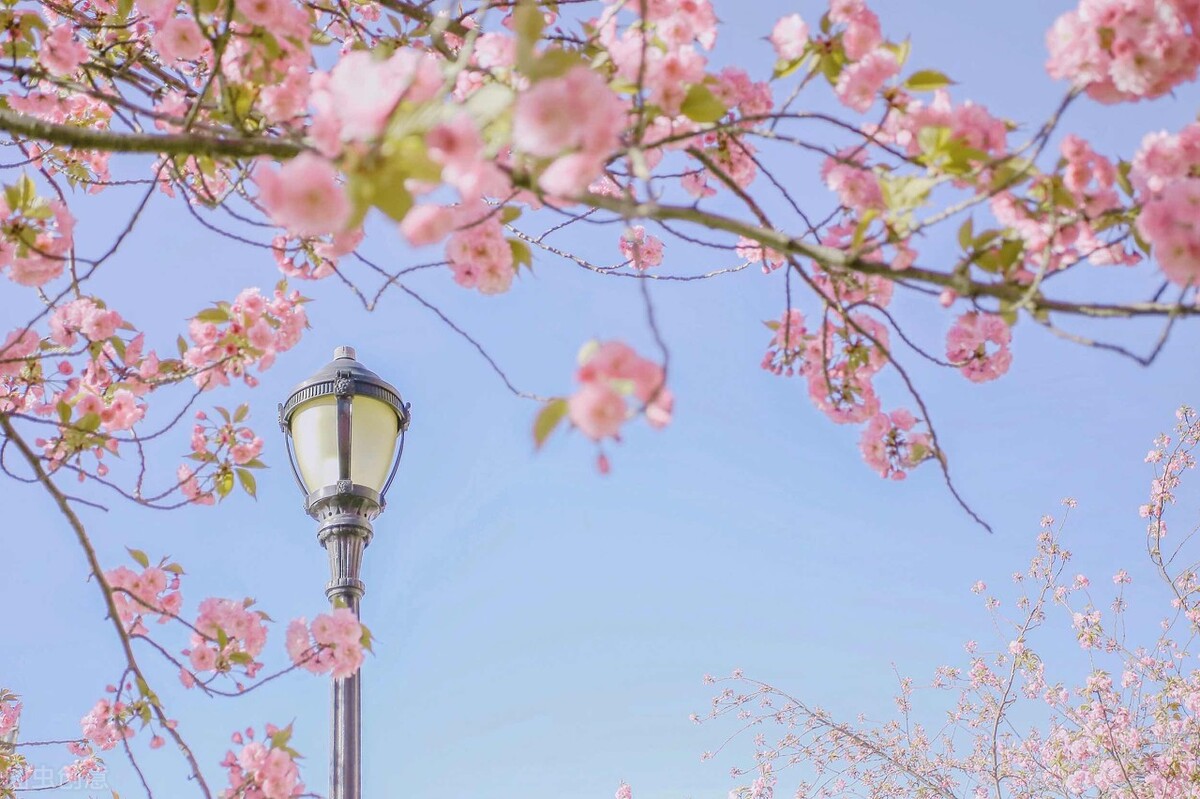 医院妇产科见闻录,县医院妇产科见闻感受