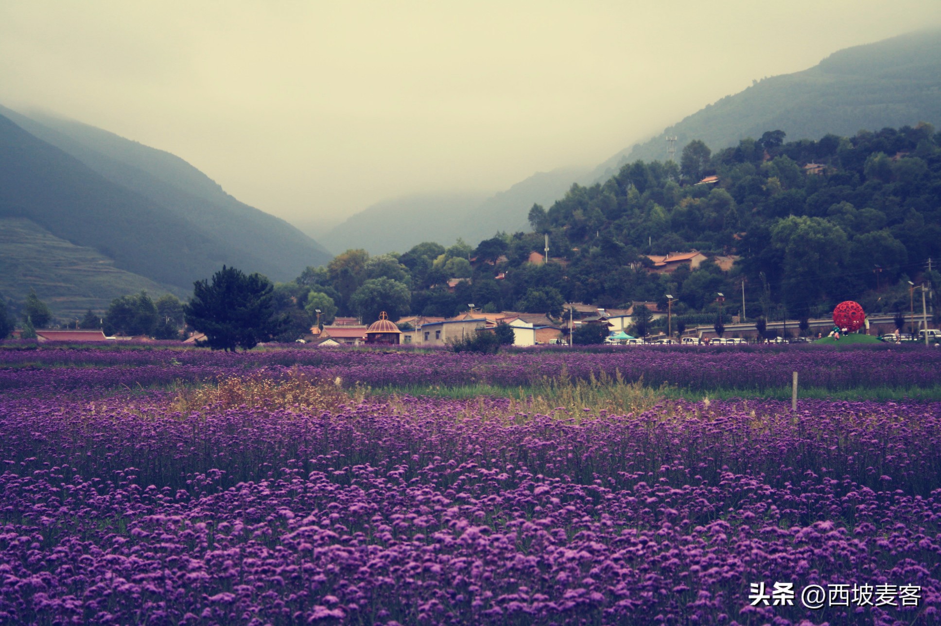 论述辛亥革命的历史意义和局限性,辛亥革命的历史意义及历史局限性