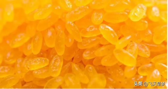 人工合成黄金米,黄金米是什么合成的能吃吗