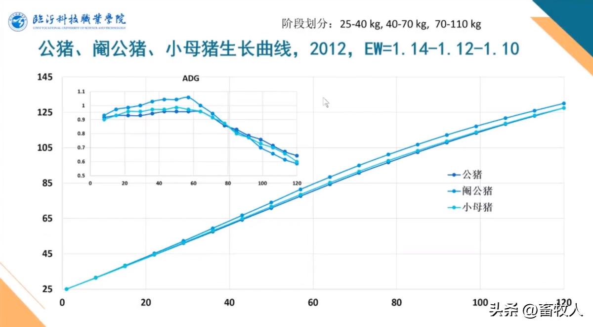 万建美博士:母仔一体化低蛋白猪料配方方案的设计与应用关键