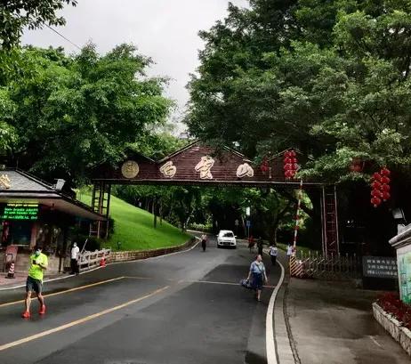 广州白云山上的书法石刻,白云山书画