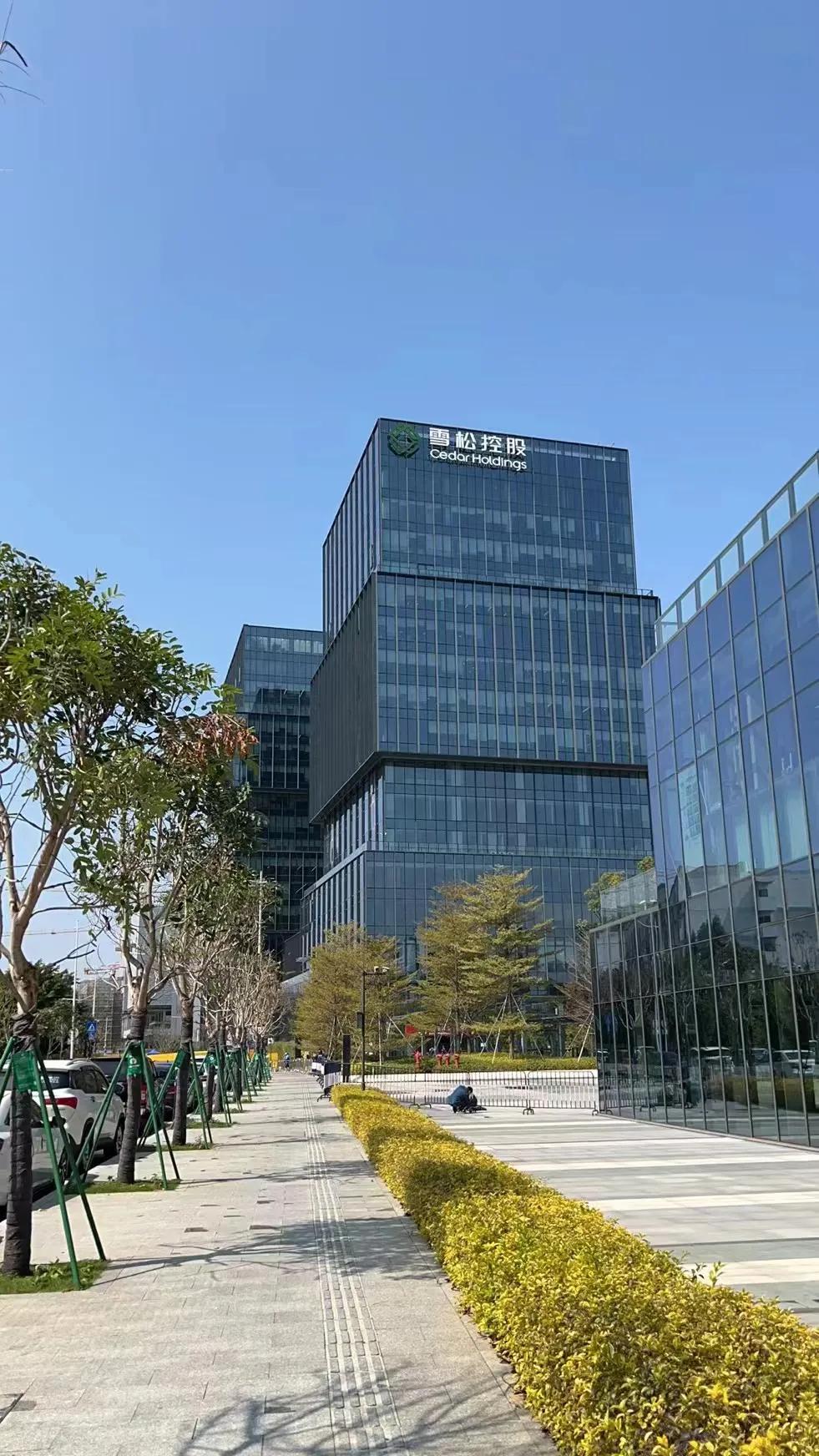 雪松暴雷投资者的钱还能要回来吗,雪松控股爆雷后投资人该怎样做