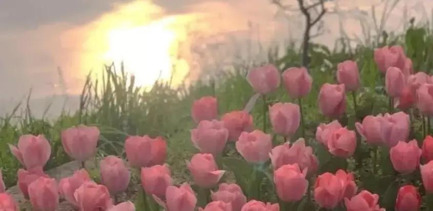 文案2022年小众的跨年签名,写给老师的文案高级小众短句