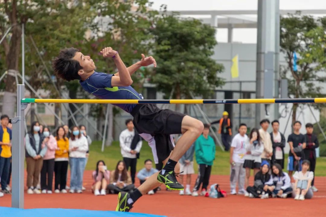 深技大的城市交通与物流学院,城市交通与物流学院是哪所大学