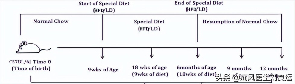 尿酸偏高无痛风症状怎么降尿酸,痛风所有尿酸升高均需降尿酸