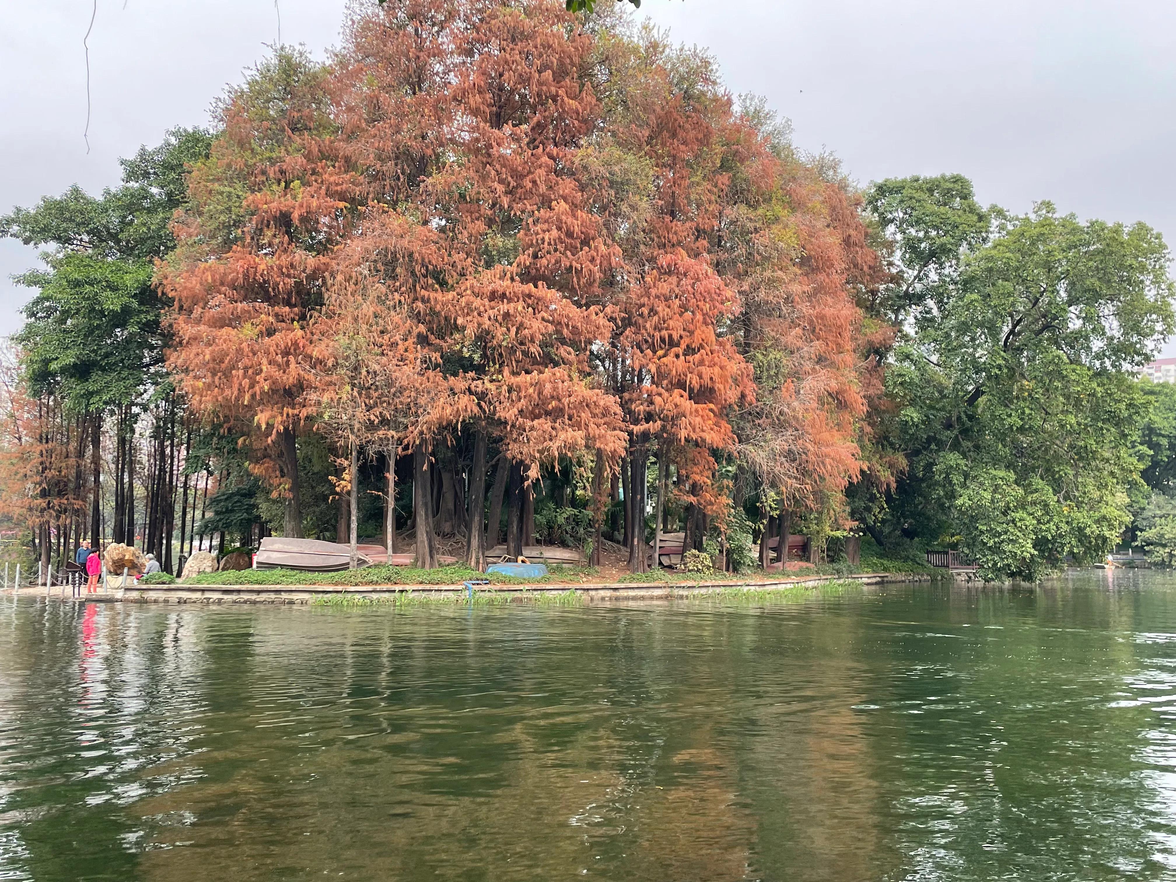 跟着大湾仔游西关——永庆坊荔枝湾涌一日游