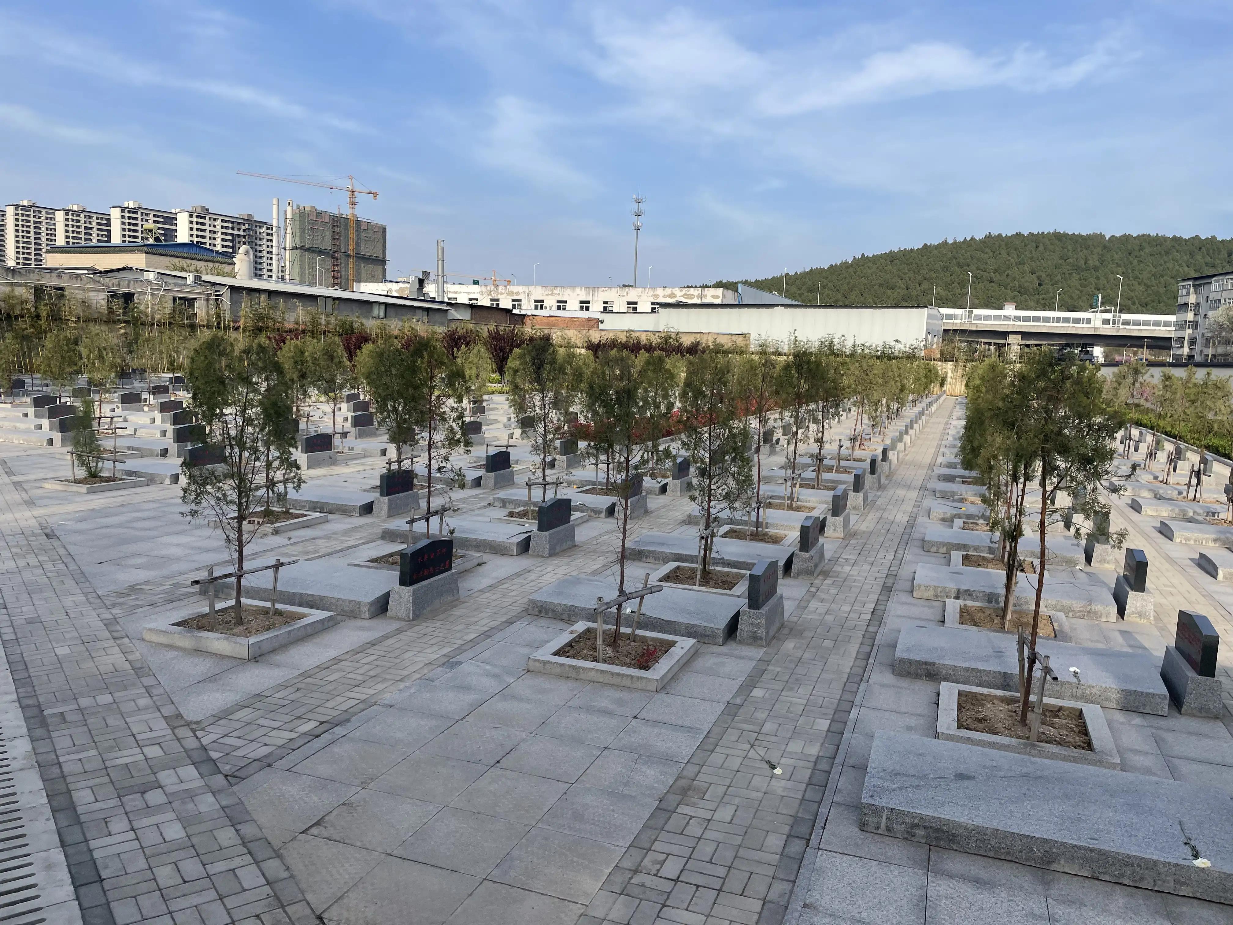 山东曹县为87名无名烈士寻亲找家,曹县孙智敏