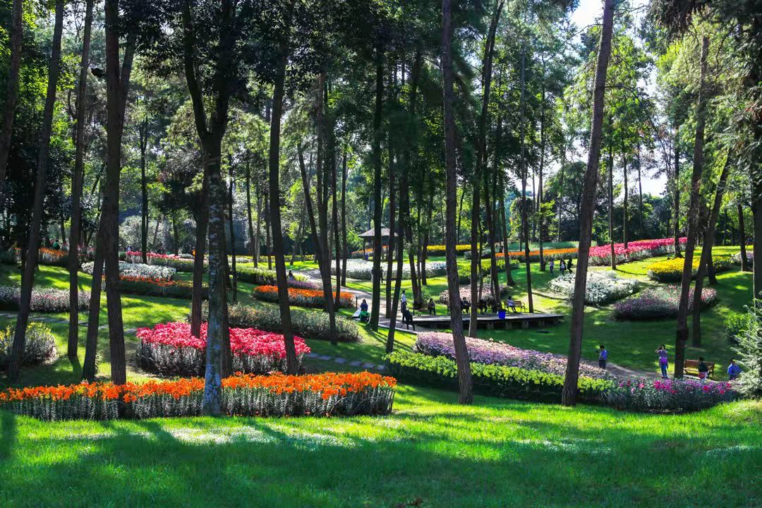 游玩石象湖,石象湖游玩攻略