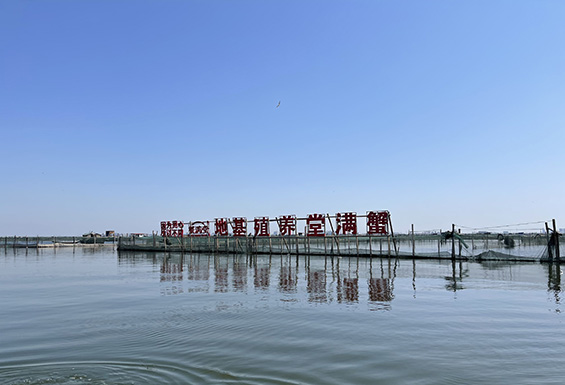 蟹满堂怎么样,蟹满堂苏州全国运营中心