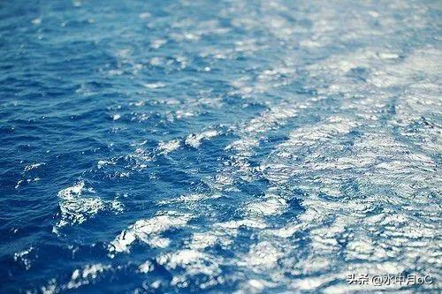 出海捕鱼工作真实经历,记录我的出海捕鱼时光