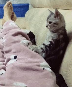 伴娘蹲角落里玩手机,伴娘躲在角落玩手机很漂亮