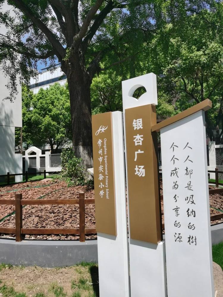 常州实验小学视频,常州市新桥实验小学一校