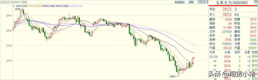 玉米市场本周行情及后市分析,本周玉米市场行情震荡调整分析