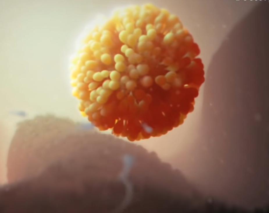 精子进入人体1小时变化,精子进入人体24小时变化