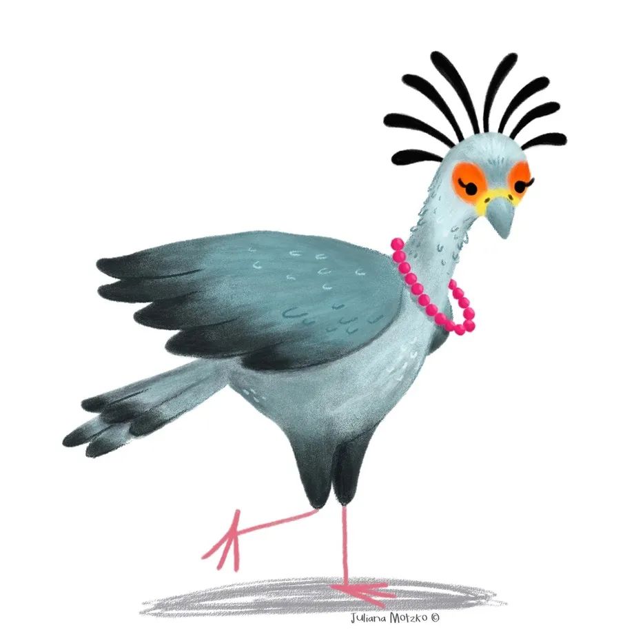 鸟类插画大全,鸟类插画艺术欣赏