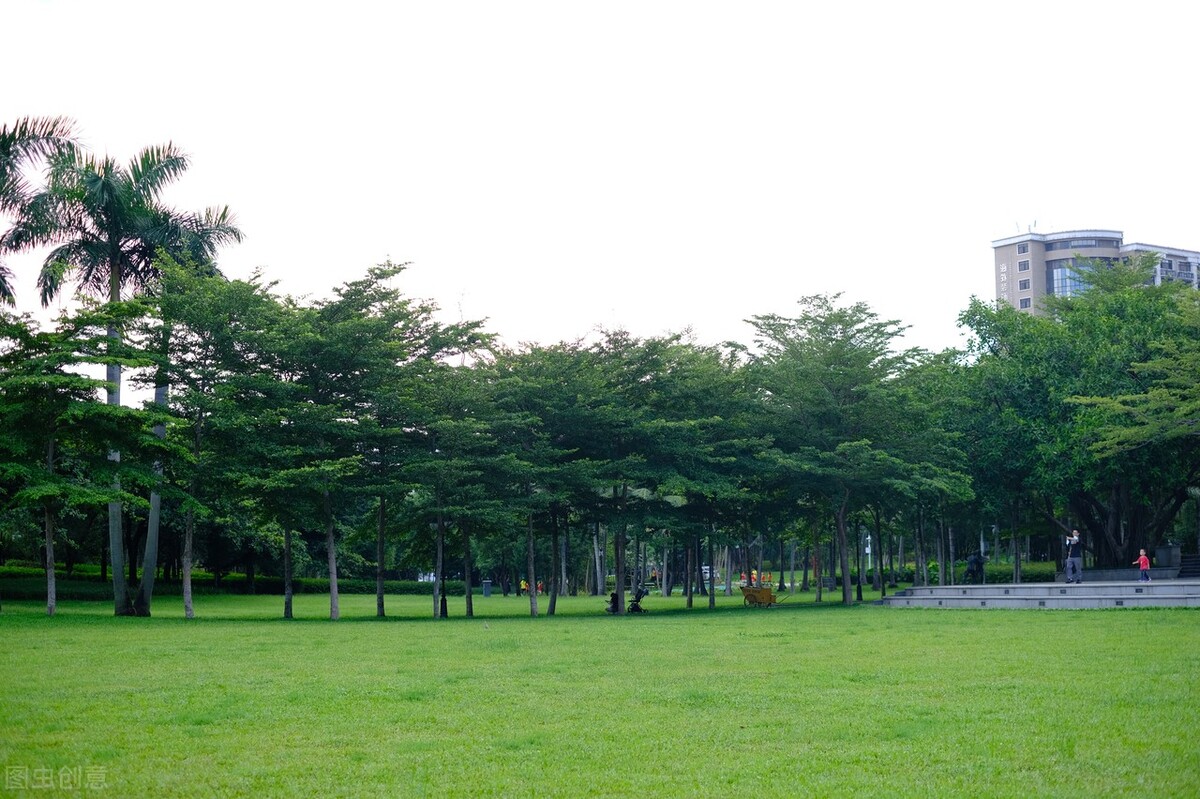 周末森林公园推荐深圳宝安,深圳森林公园登上山顶看美景