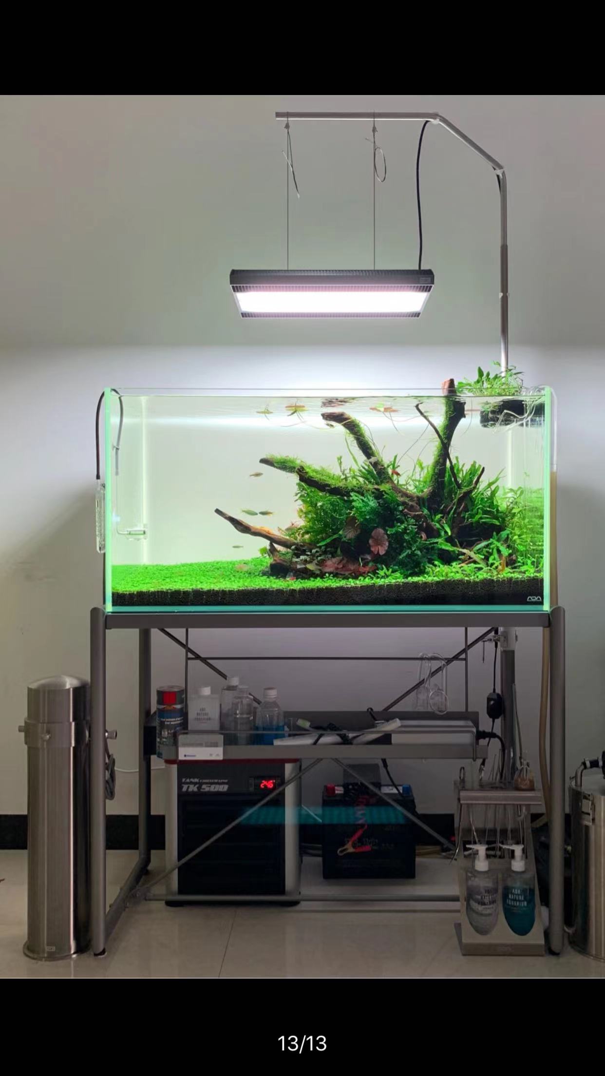 观赏鱼过滤系统,观赏鱼桶式过滤器