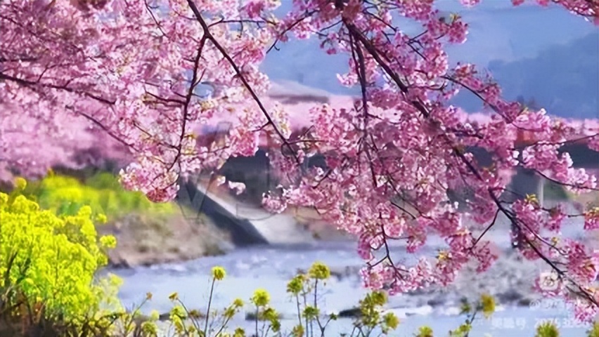 山东老干部诗词学会会刊,老干部诗词大全