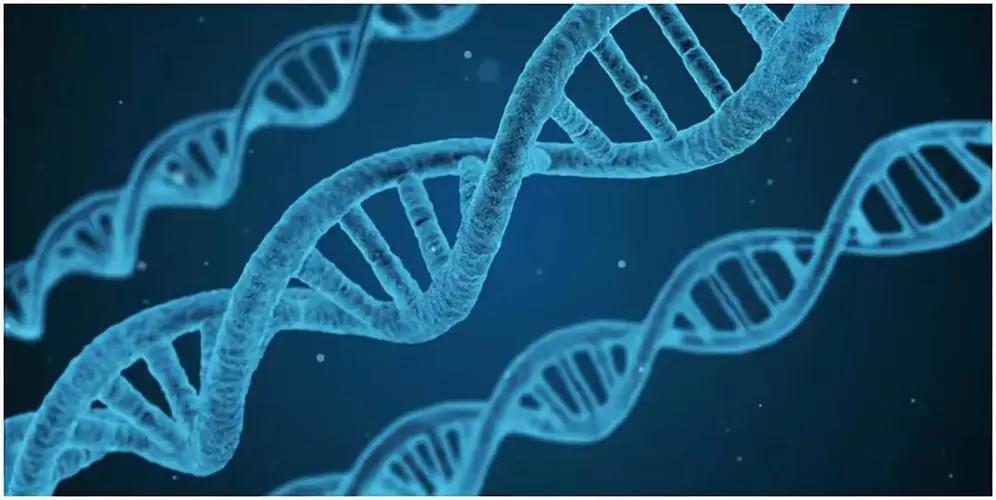 帕金森病的症状晚期会怎样发展,如何判断帕金森病的严重程度