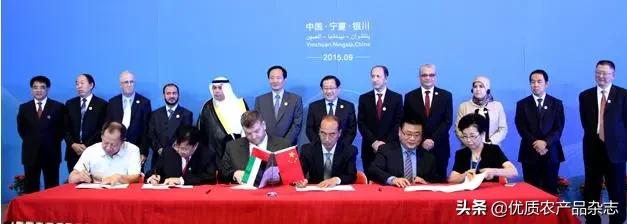 被称为绿色金子的特色蔬菜,被欧洲人称为绿色金子