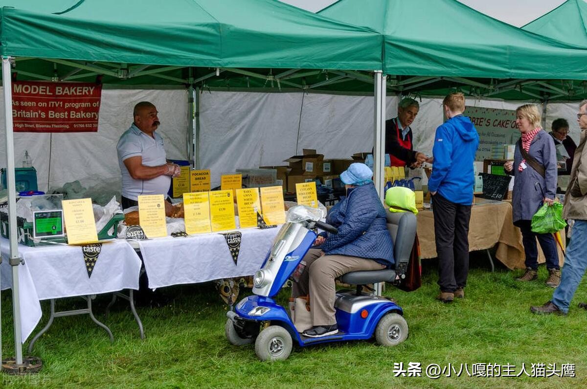 老年人电动轮椅哪个牌子好,老年人使用电动轮椅的安全性研究
