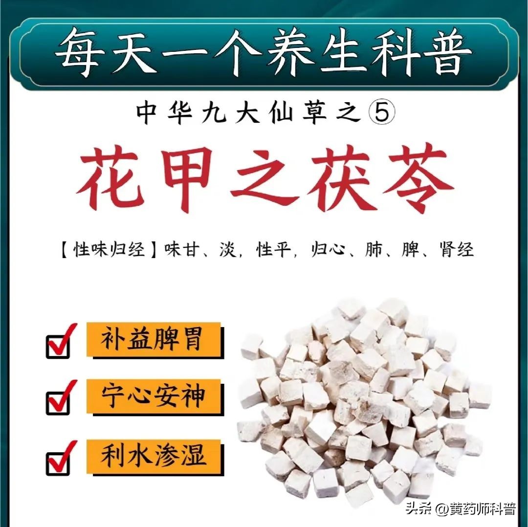 九大仙草哪个药用价值最高,中草药鬼针草的药用价值