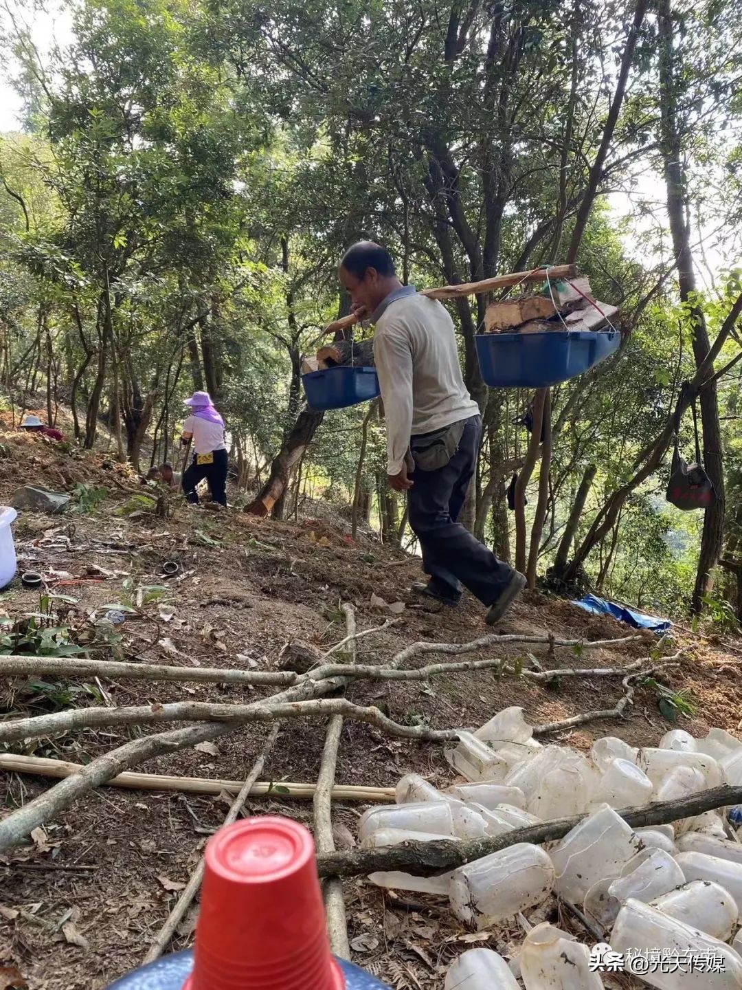 贵州90后回乡特色创业种植,黔东南州90后大学生返乡创业