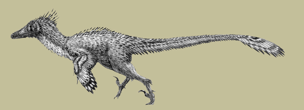 盘点十种能秒杀霸王龙的恐龙,十大比霸王龙厉害的恐龙