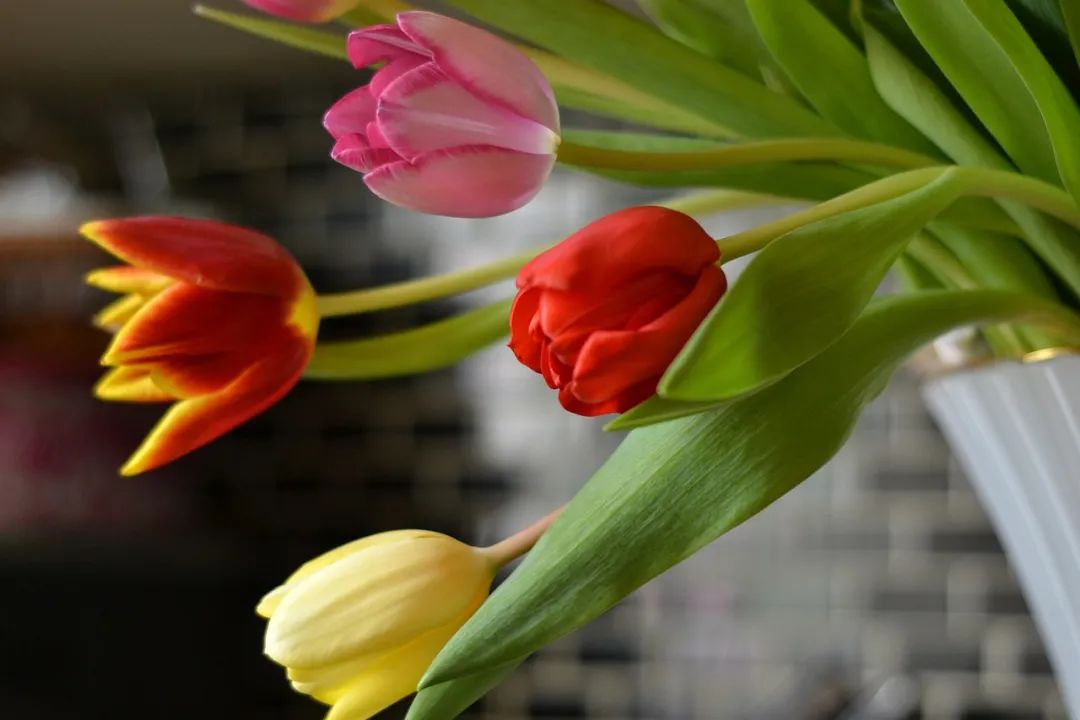 适合初次见家长带的礼物有哪些,第一次见家长带什么礼物最好