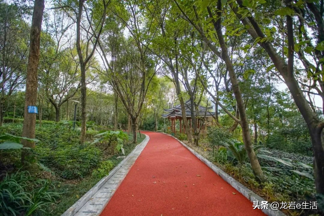 夏天龙岩哪里凉快适合避暑,龙岩新罗区有哪些避暑的好地方