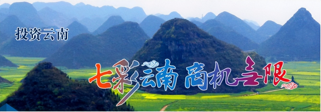 东盟华商会在昆明开幕,东盟华商大会