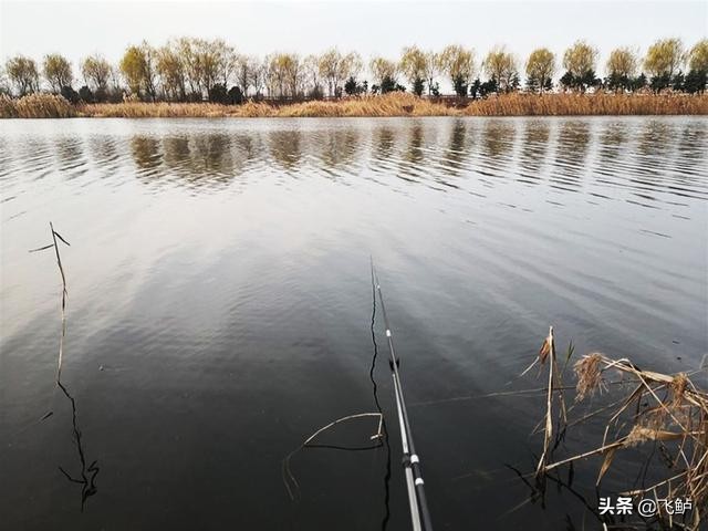 台钓新手入门装备,台钓新手入门必备装备之其他篇