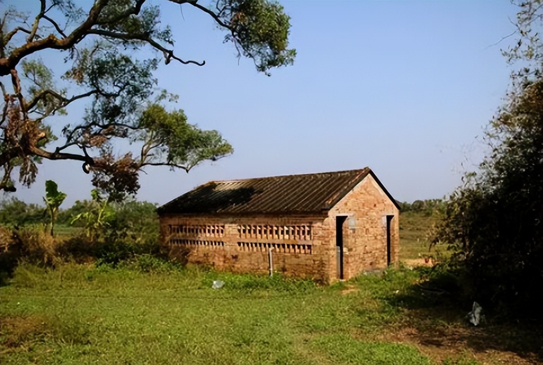 农村俗语四大苦四大愁四大悲,俗语四大苦四大悲四大愁四大辣