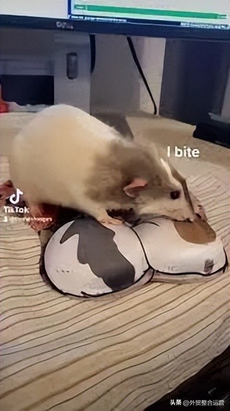 抖音话题破100亿的kpop,话题破千亿