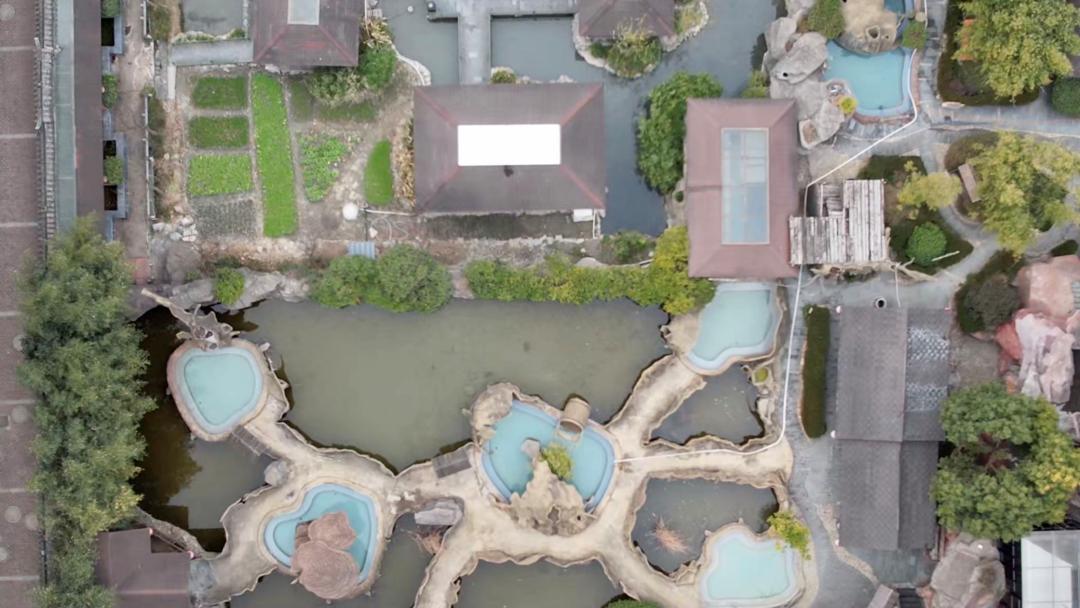 迎接虎年的美好时光,用最好的心态迎接虎年