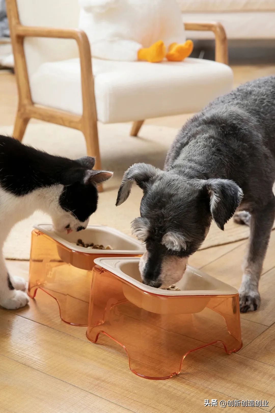 低碳环保我先行绘画,创意环保产品排行榜