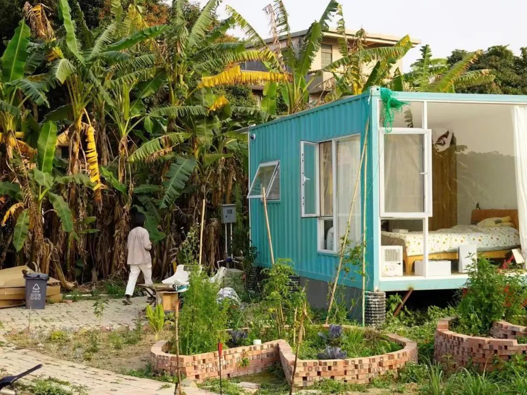 搬离城市，坐火车上班的年轻人：获得了真正的快乐！