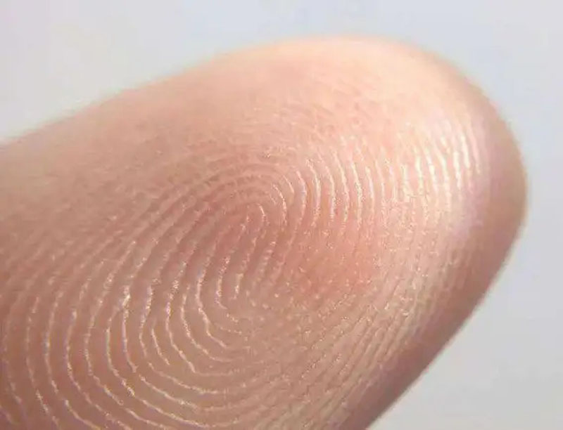 一斗富二斗穷没有斗是啥意思,一斗贫二斗富顺口溜怎么看