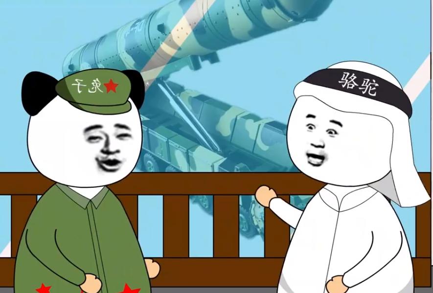 动漫中的动物都是什么品种,动漫中各个动物代表什么国家