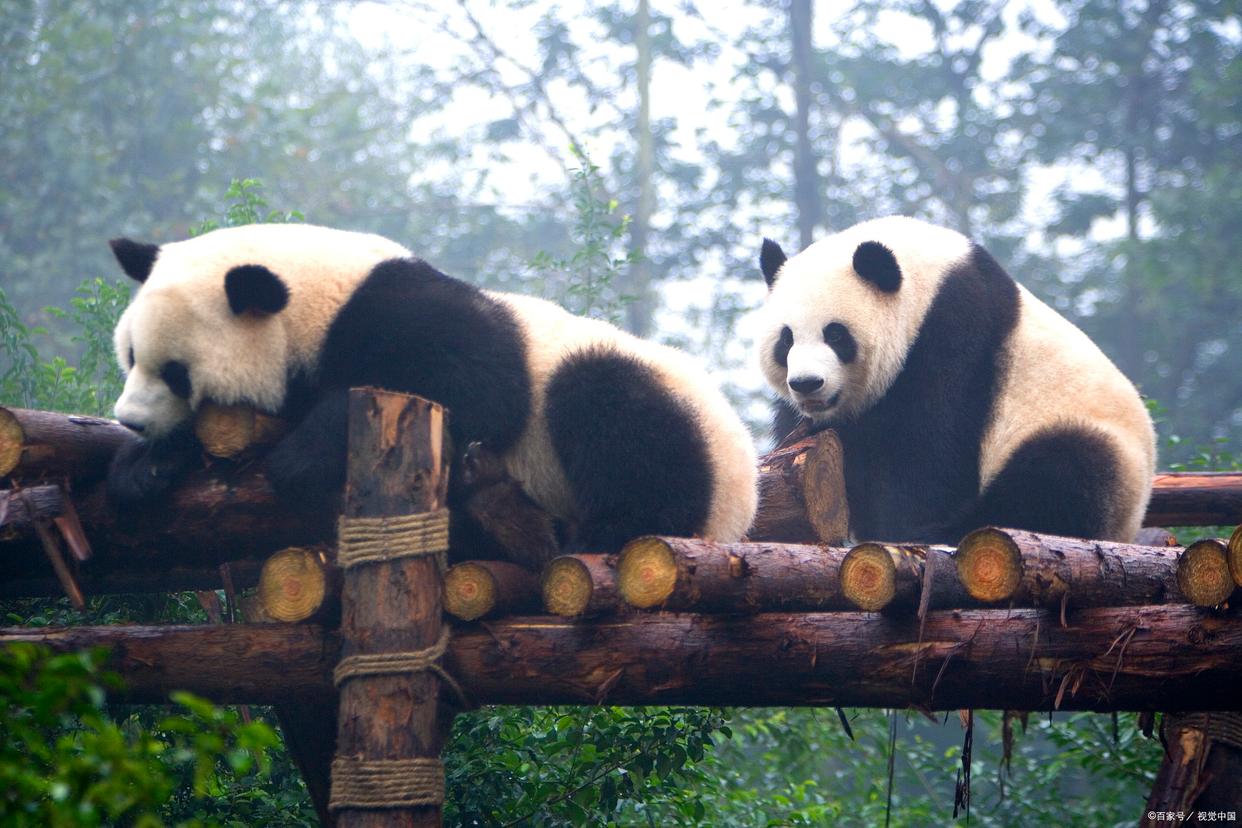 去四川成都旅游攻略最佳线路,四川成都旅游3-4天攻略最佳线路