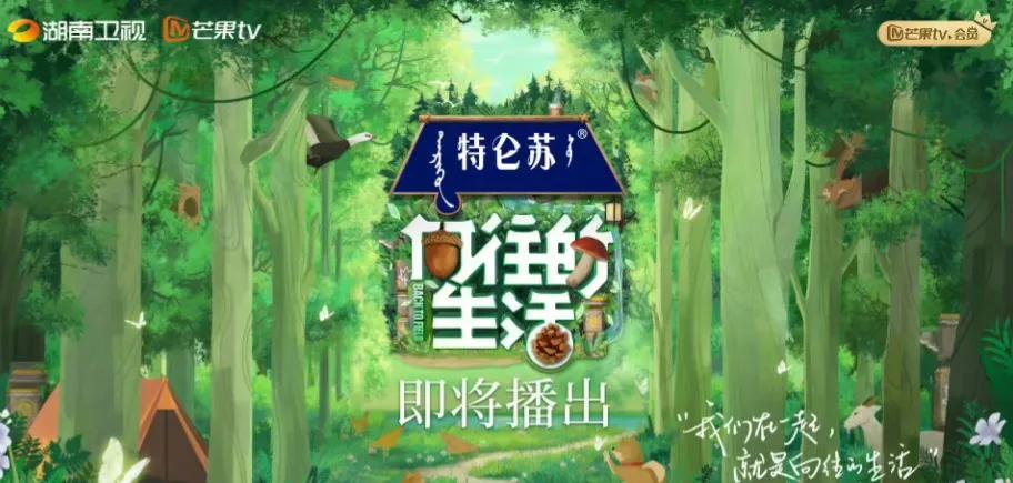 向往的生活第7季蘑菇屋,向往的生活7第四期