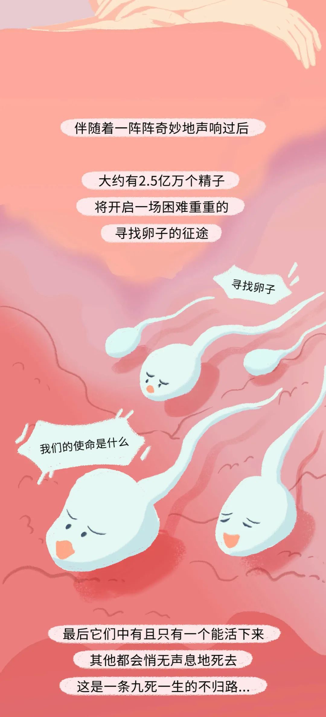 漫画：精子进入女生体内的全过程曝光！别害羞，早知早受益