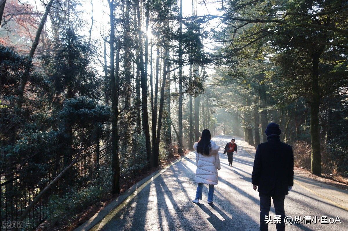 什么app免费看最新电影电视剧,免费看vip电视剧电影的软件