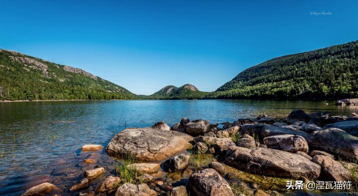 缅因库恩猫银虎斑,缅因猫浅银虎斑