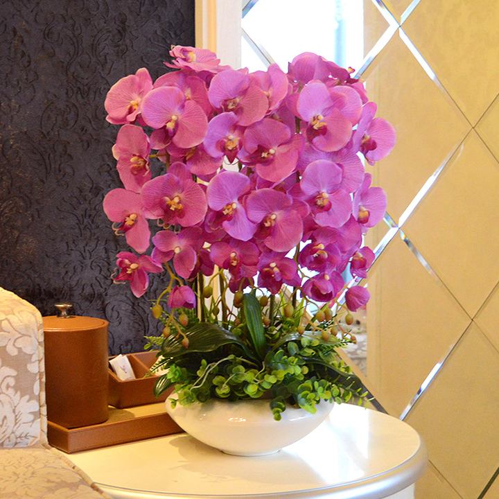 卫生间香花草,卫生间除臭植物花