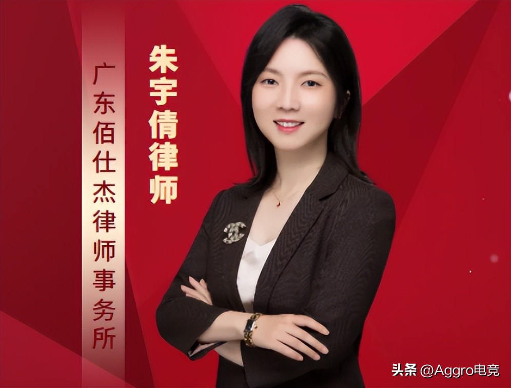 游戏项目合规标准有哪些 (游戏运营涉及的法律问题)